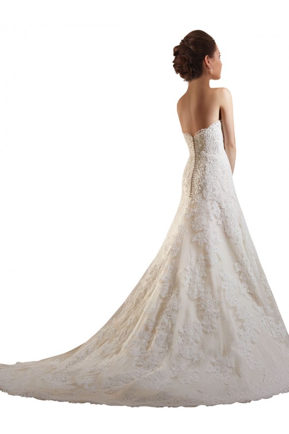 Ivoire & Champagne Trapèze Tulle Dentelle Robes de mariée à Bas Prix