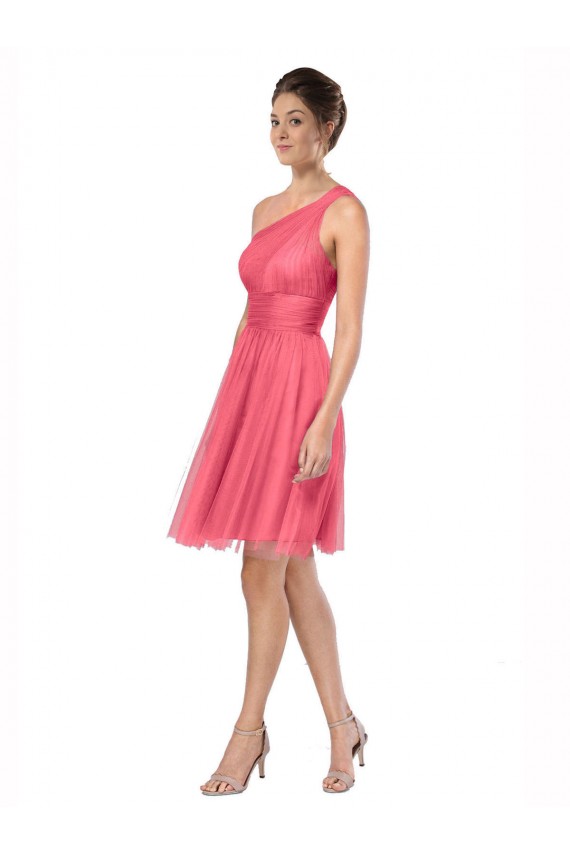 Pastèque Trapèze Tulle Longue Robes demoiselle d'honneur à Bas Prix
